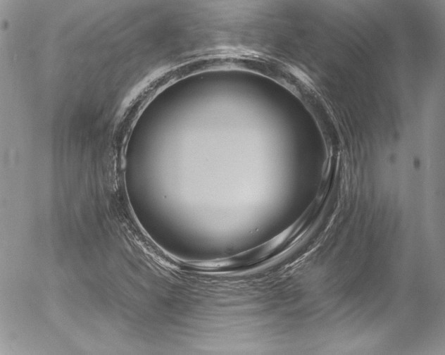 X0000054411310200507291132