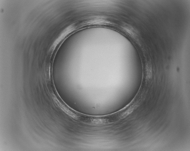 X0000054411322200507291133
