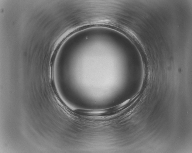 X0000054411324200507291133