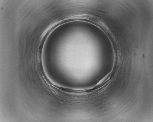 X0000054411328200507291133