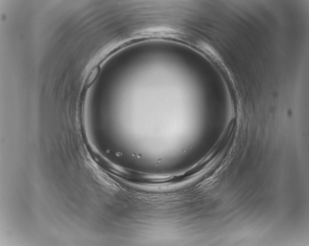 X0000054411336200507291133