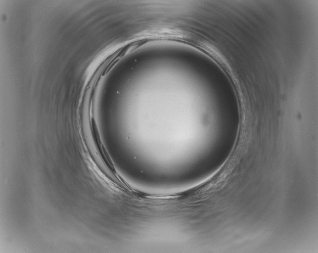X0000054411344200507291133