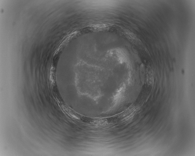 X0000054411346200507291132
