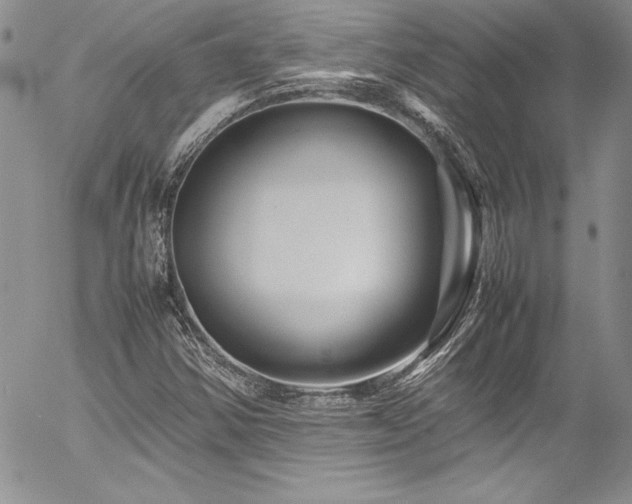 X0000054411354200507291132
