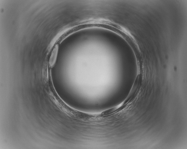 X0000054411368200507291132