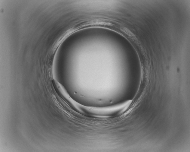 X0000054411369200507291132