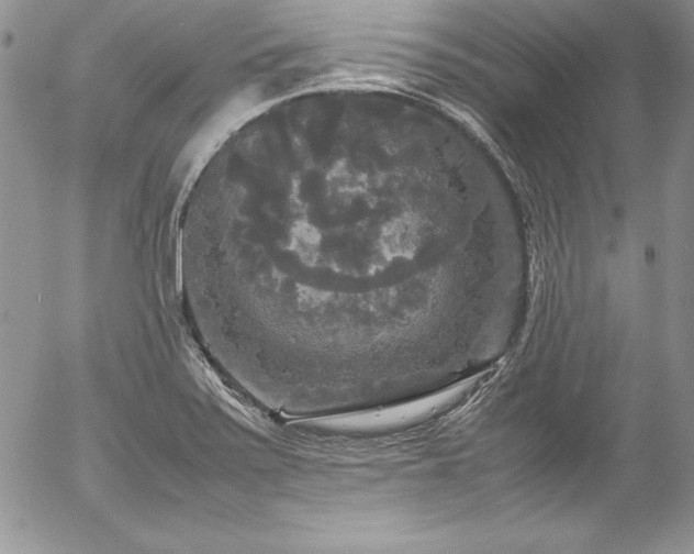 X0000054411371200507291132