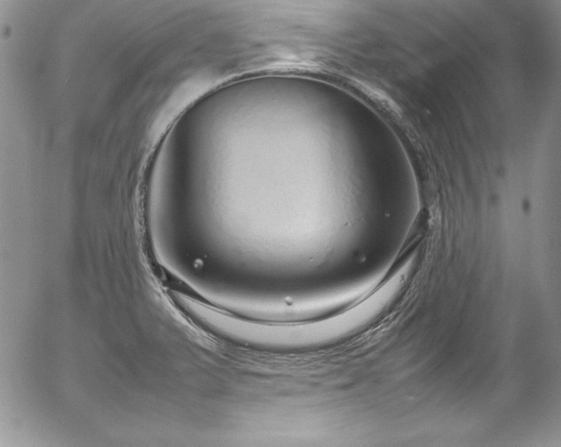X0000054411375200507291132