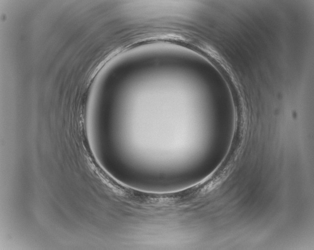 X0000054411377200507291132