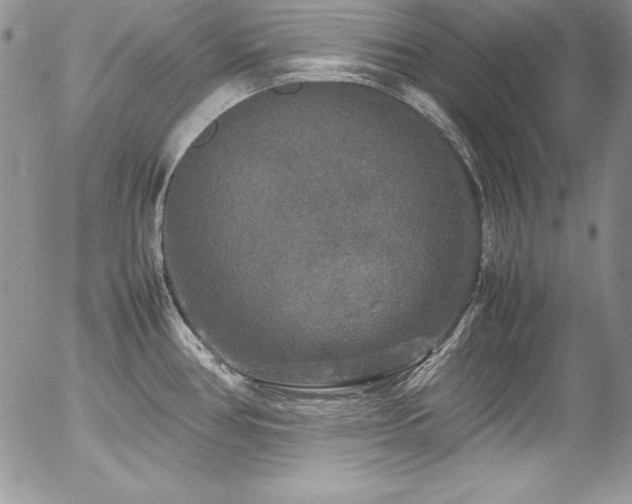 X0000054411386200507291132