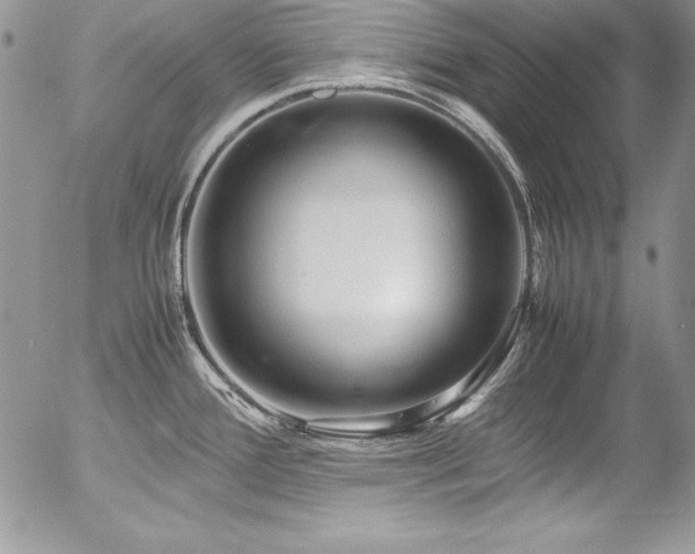 X0000054411388200507291131