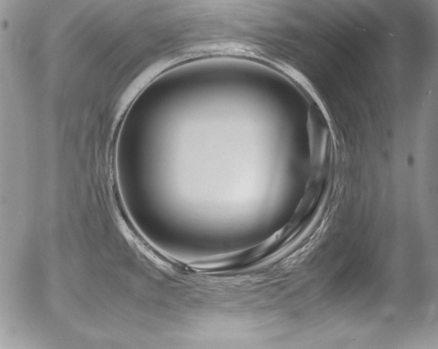 X0000054411389200507291131