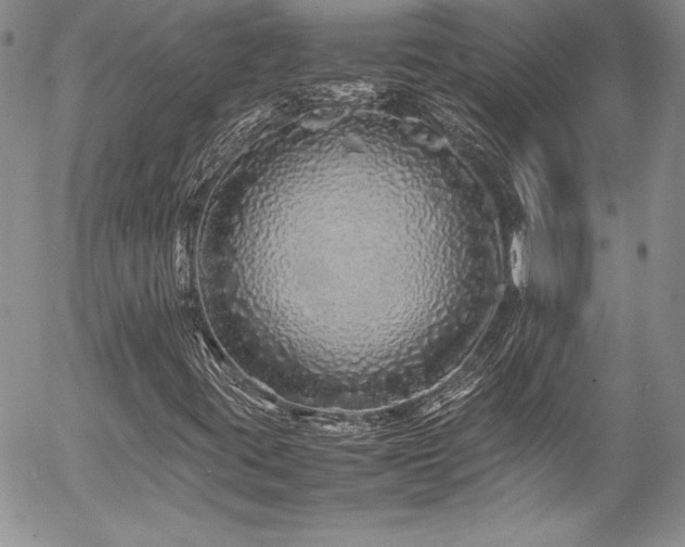 X0000054411395200507291131