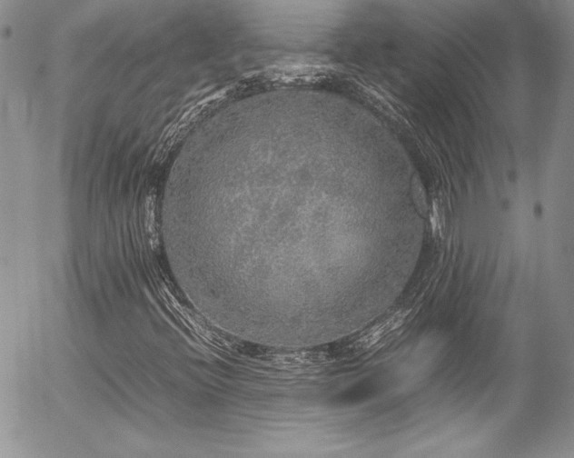 X0000054411396200507291131