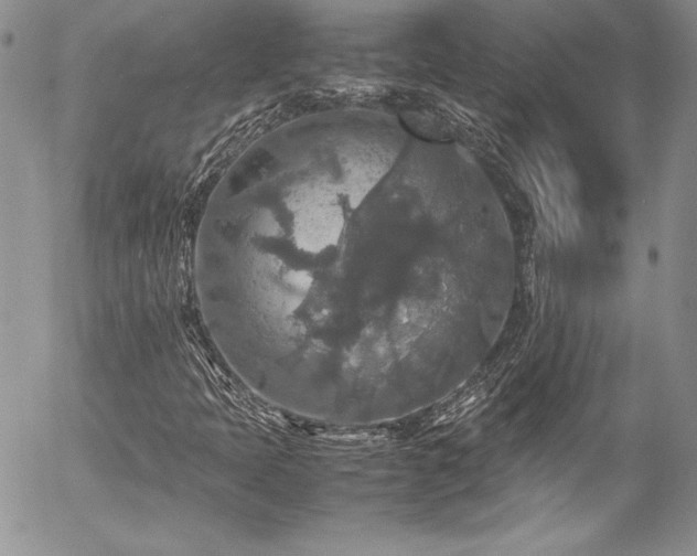 X0000054411397200507291131