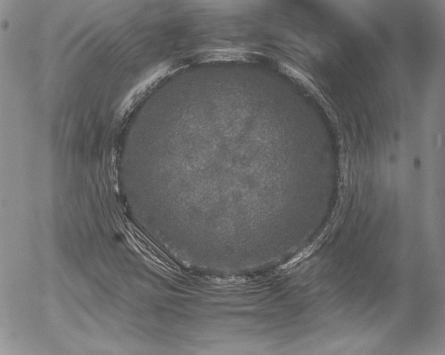 X0000054411403200507291131