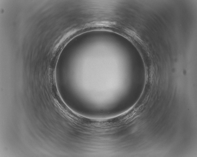 X0000054411404200507291131