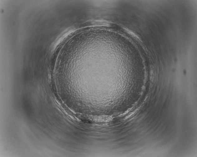 X0000054411407200507291131