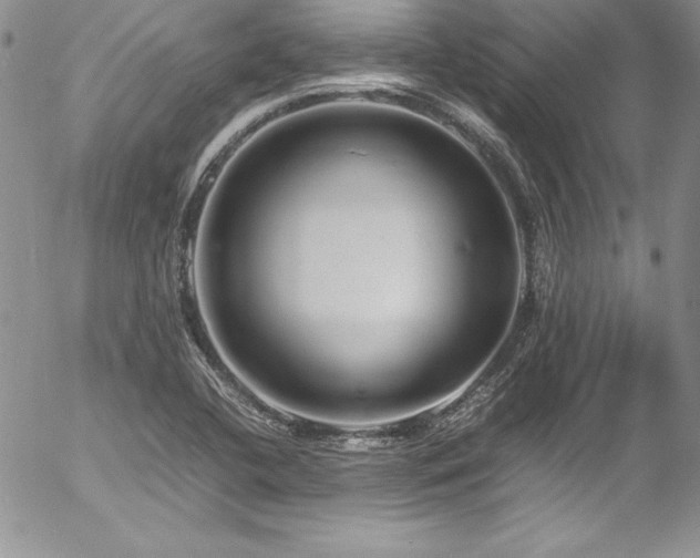X0000054411412200507291131