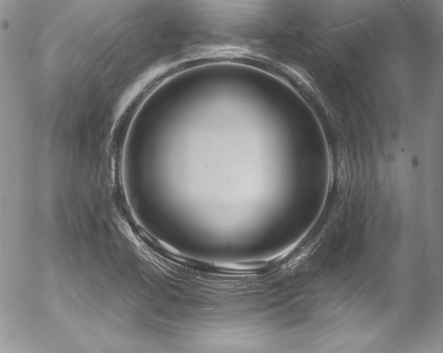 X0000054411414200507291131