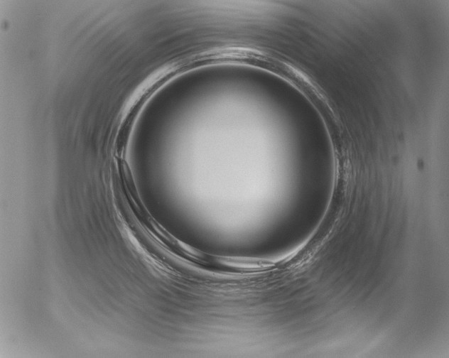 X0000054411418200507291131