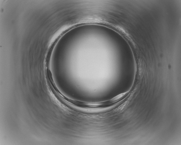 X0000054411422200507291131