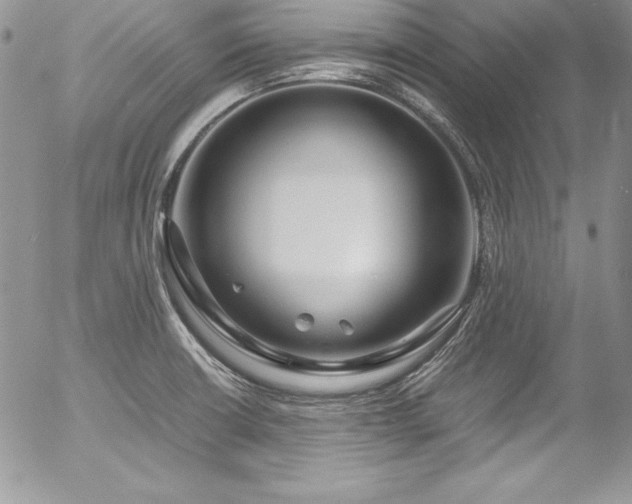 X0000054411426200507291131