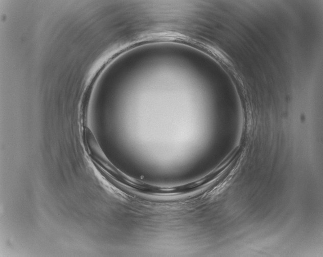 X0000054411430200507291131