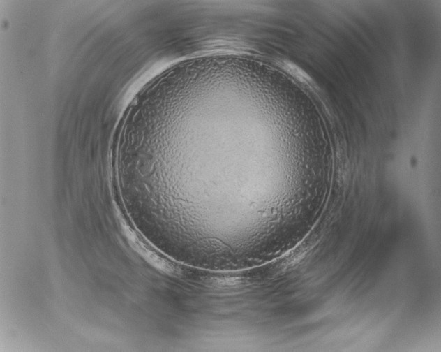 X0000054411431200507291131