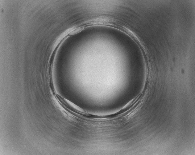 X0000054411434200507291131