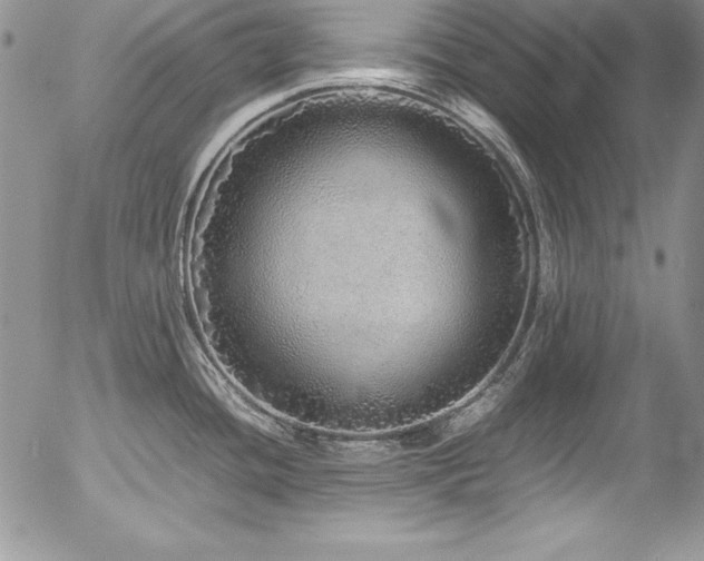 X0000054411436200507291131