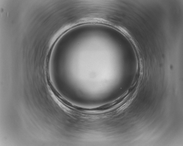 X0000054411438200507291131