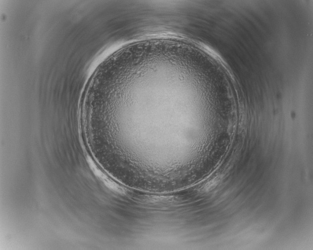 X0000054411439200507291131
