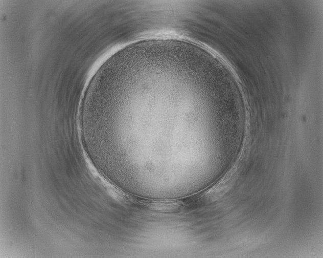 X0000054411440200507291131