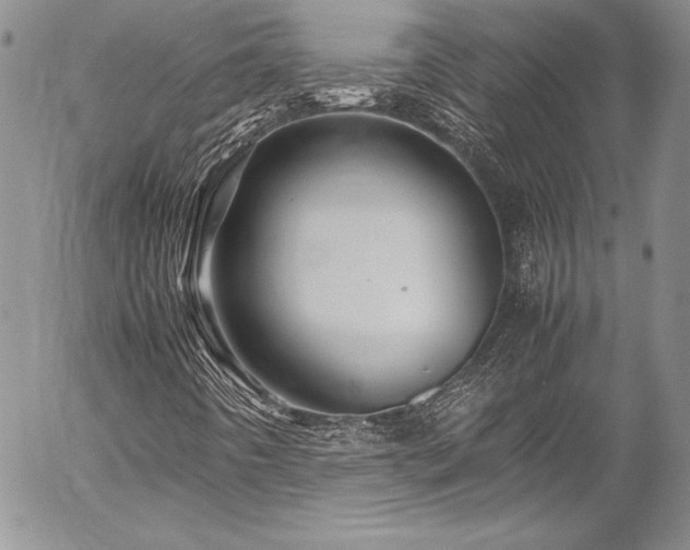 X0000054411442200507291131