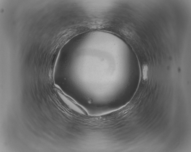 X0000054411444200507291131