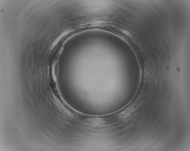 X0000054411450200507291130