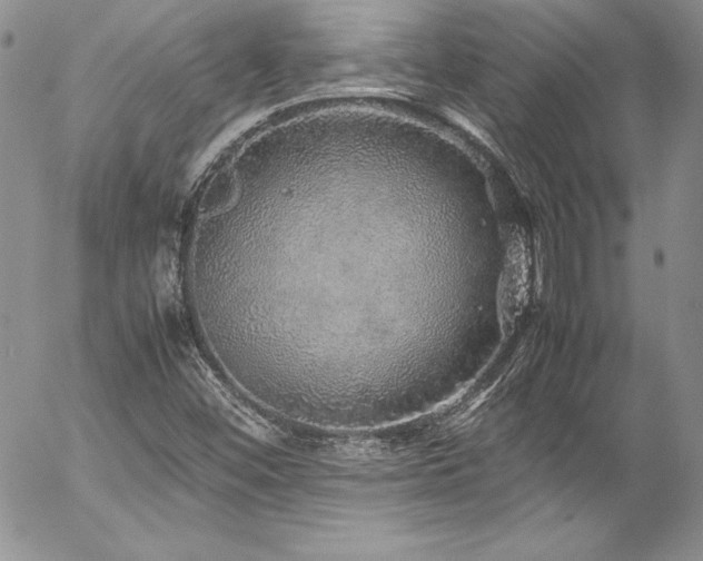 X0000054411452200507291130