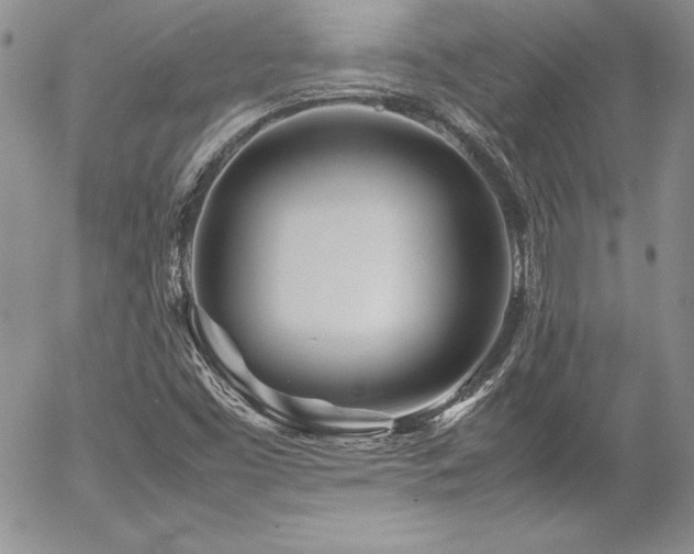 X0000054411453200507291130