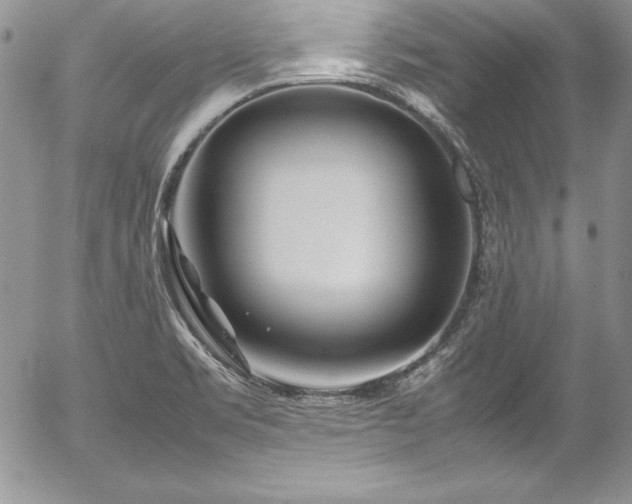 X0000054411469200507291130