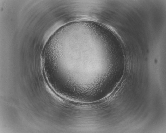 X0000054411476200507291130