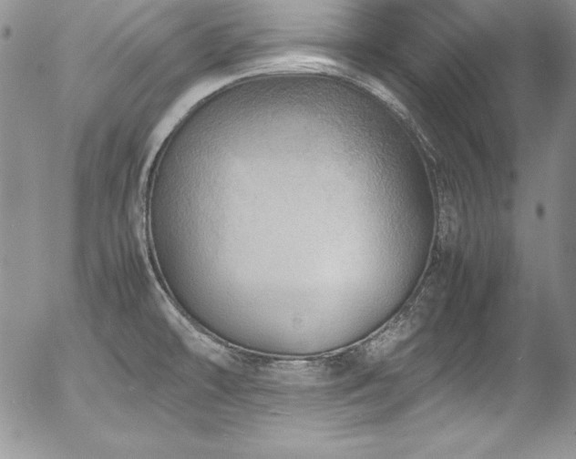 X0000054411478200507291130