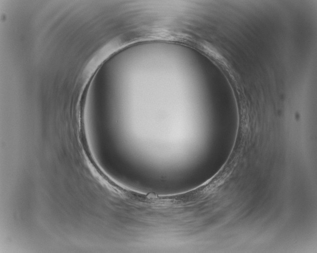 X0000054411479200507291130