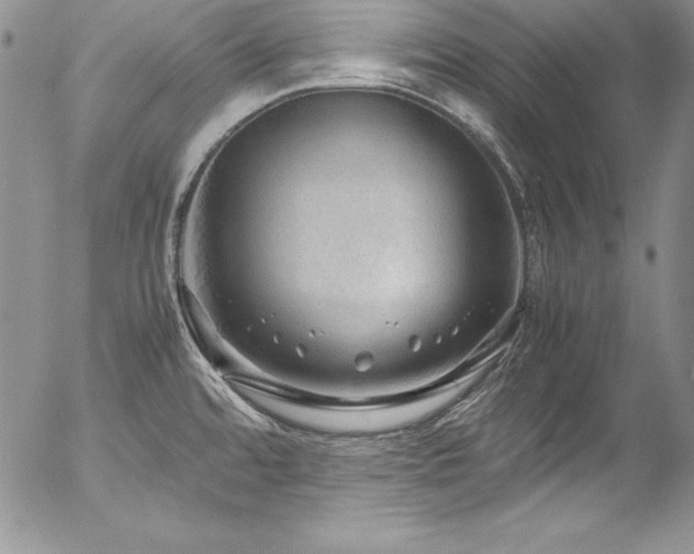 X0000054411480200507291130