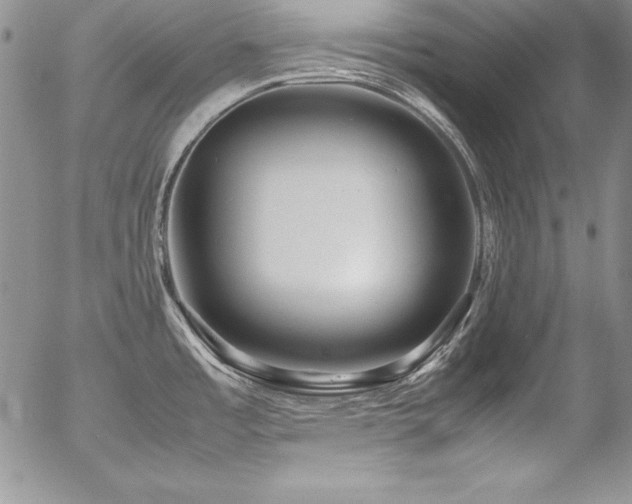 X0000054411485200507291130