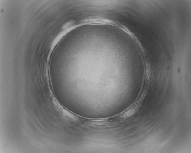 X0000054411486200507291130