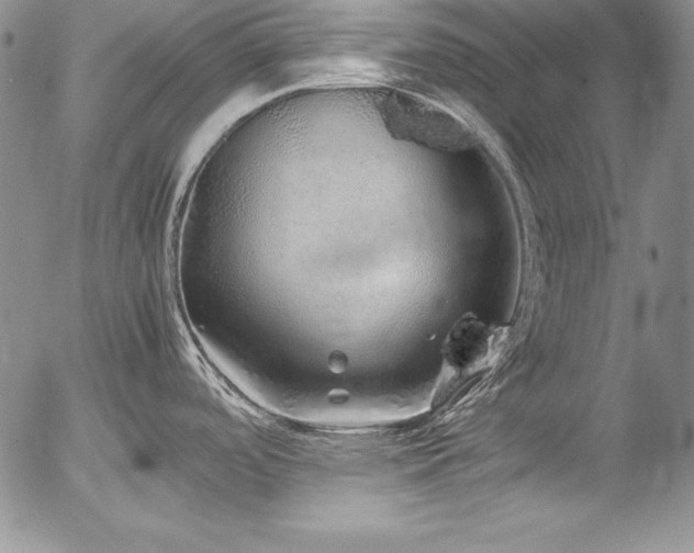 X0000054411488200507291130