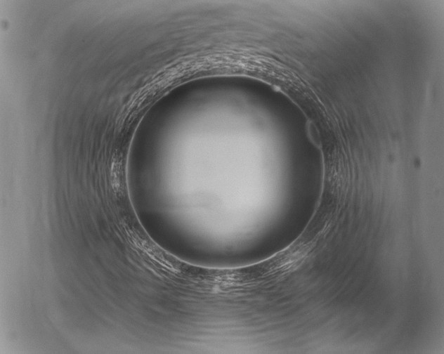 X0000054411490200507291129