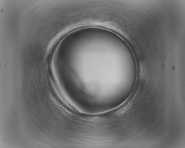 X0000054411502200507291129