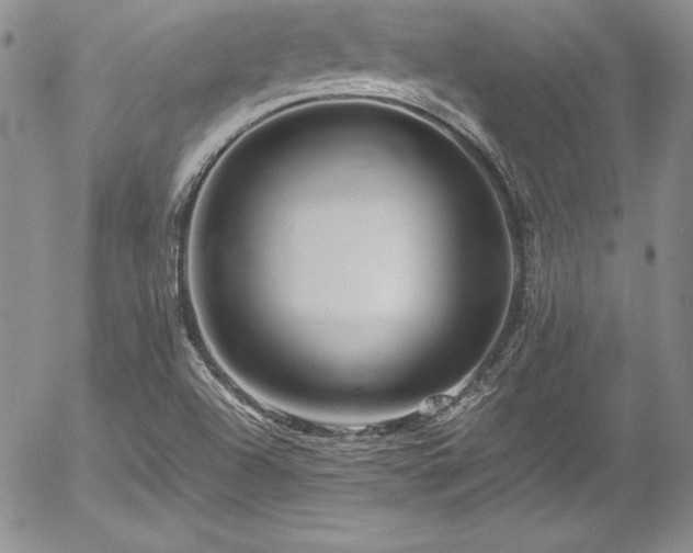 X0000054411504200507291129